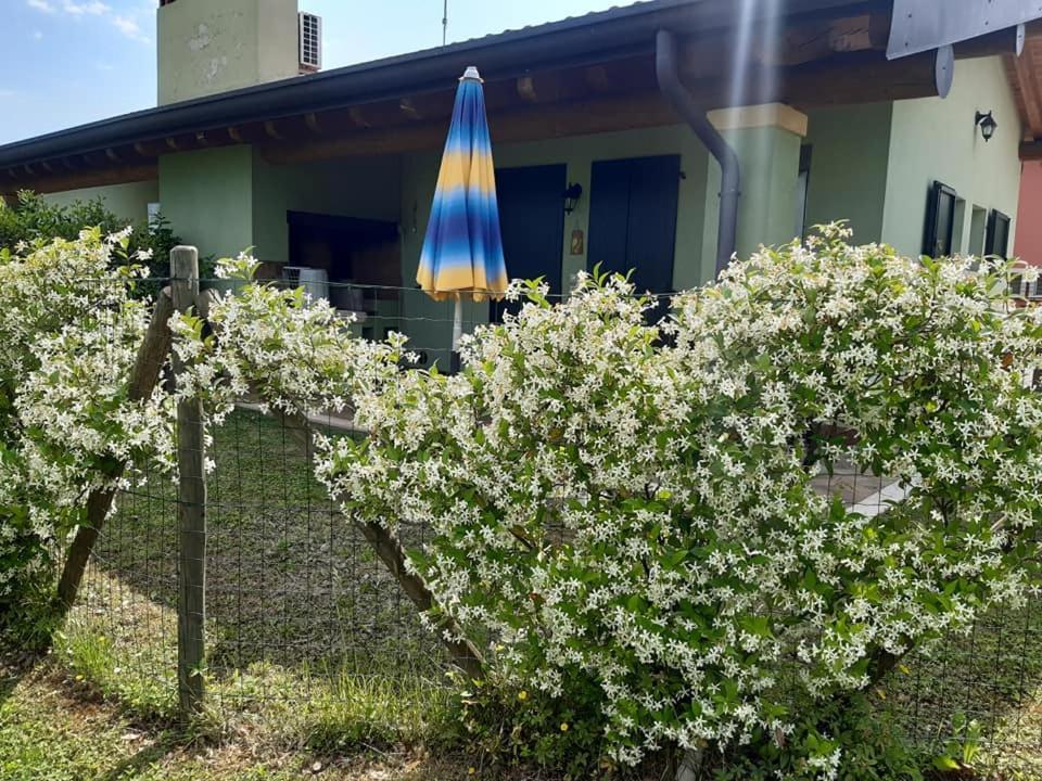 Agriturismo Lizzarola ペスキエーラ・デル・ガルダ エクステリア 写真