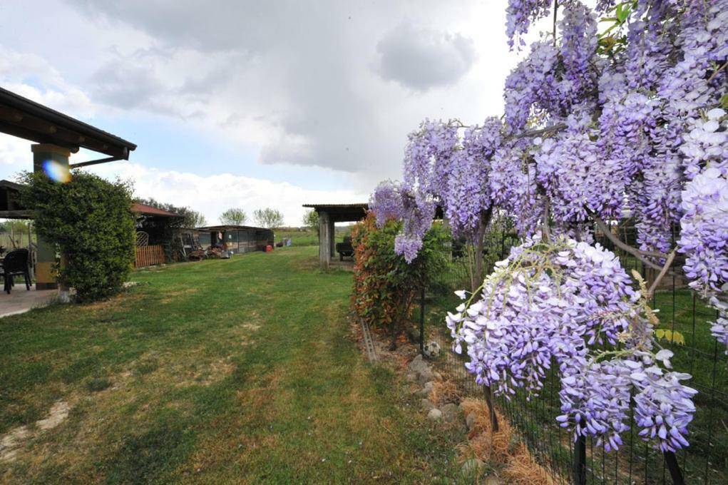 Agriturismo Lizzarola ペスキエーラ・デル・ガルダ エクステリア 写真